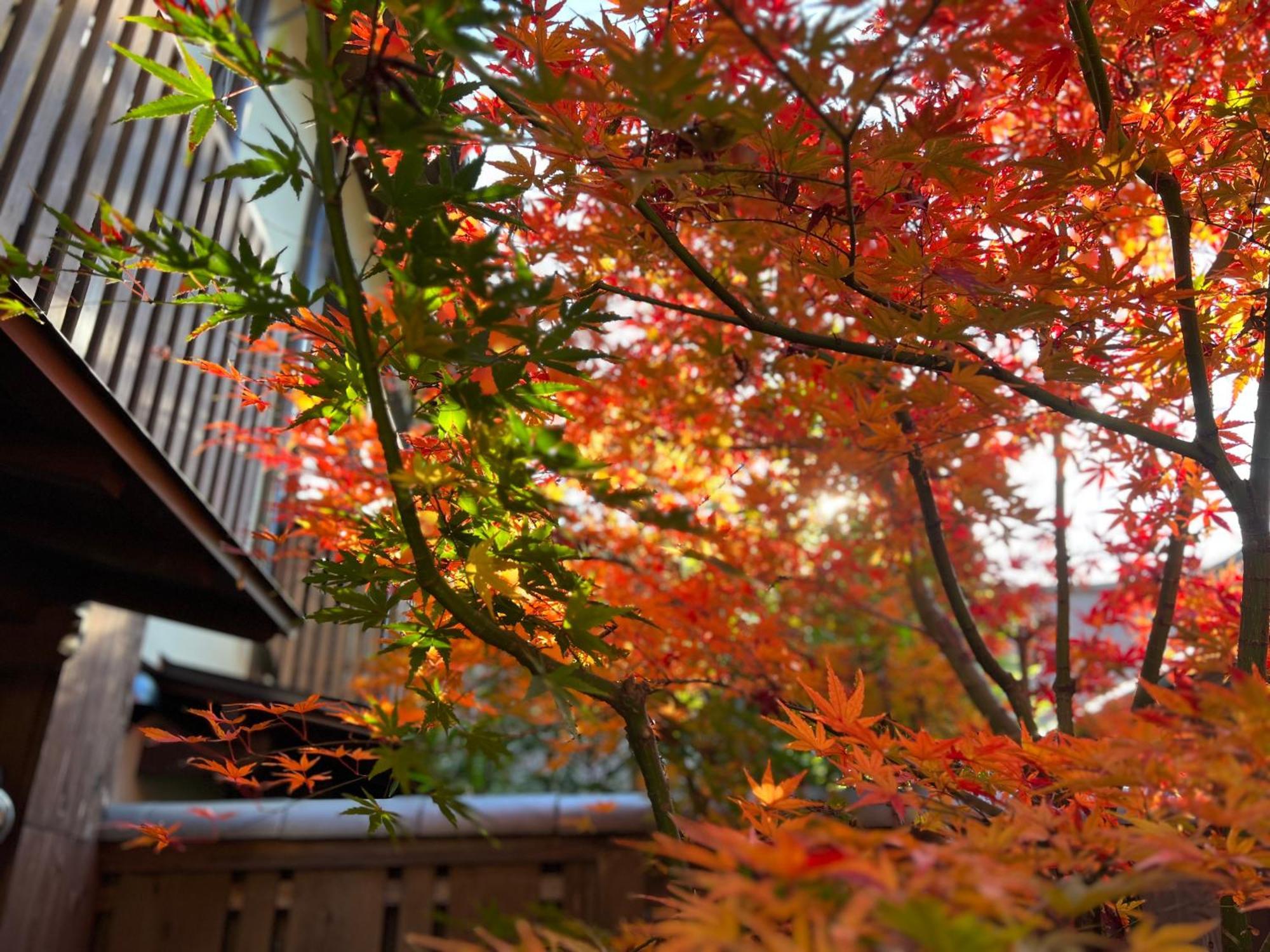 Villa Imakumano Terrace - Dohachi An 道八庵 Kioto Exterior foto